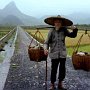 China - Guilin - Farmer